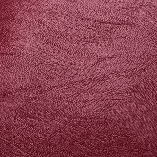 Women’s Water-Resistant Backpack with Multi-Compartments for Everyday Use